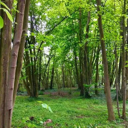 Hermitage A 10 Minutes De Montévrain